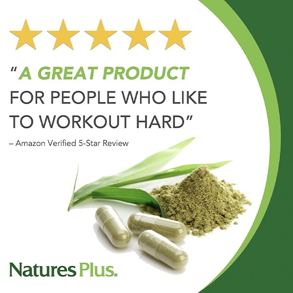 Holistic Medicine Supplement Mens Ultra GHT Male NaturesPlus Vegetarian Gluten Free REVIEW