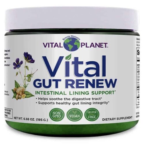 Holistic Medicine Supplement Digestive Vital Gut Renew Brenda Watson's Vital Planet Vegan Non-GMO Gluten Free