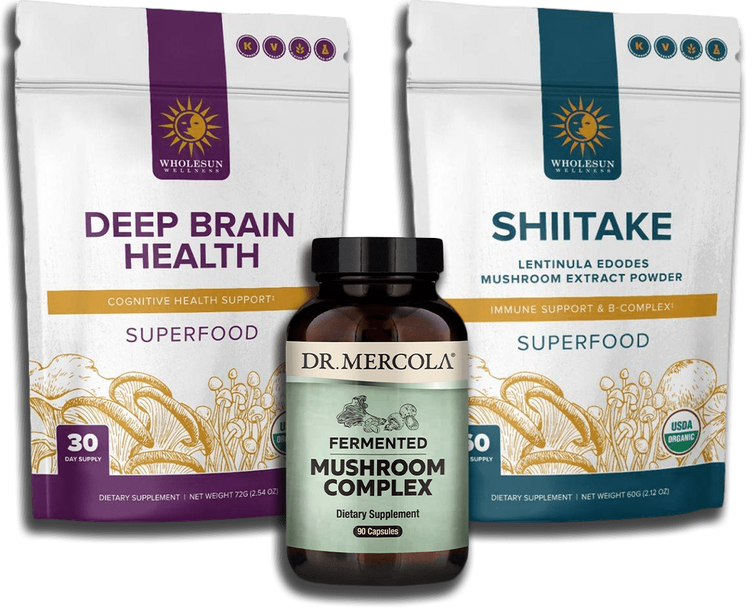 Holistic Medicine Mushroom Health Supplements and Powders